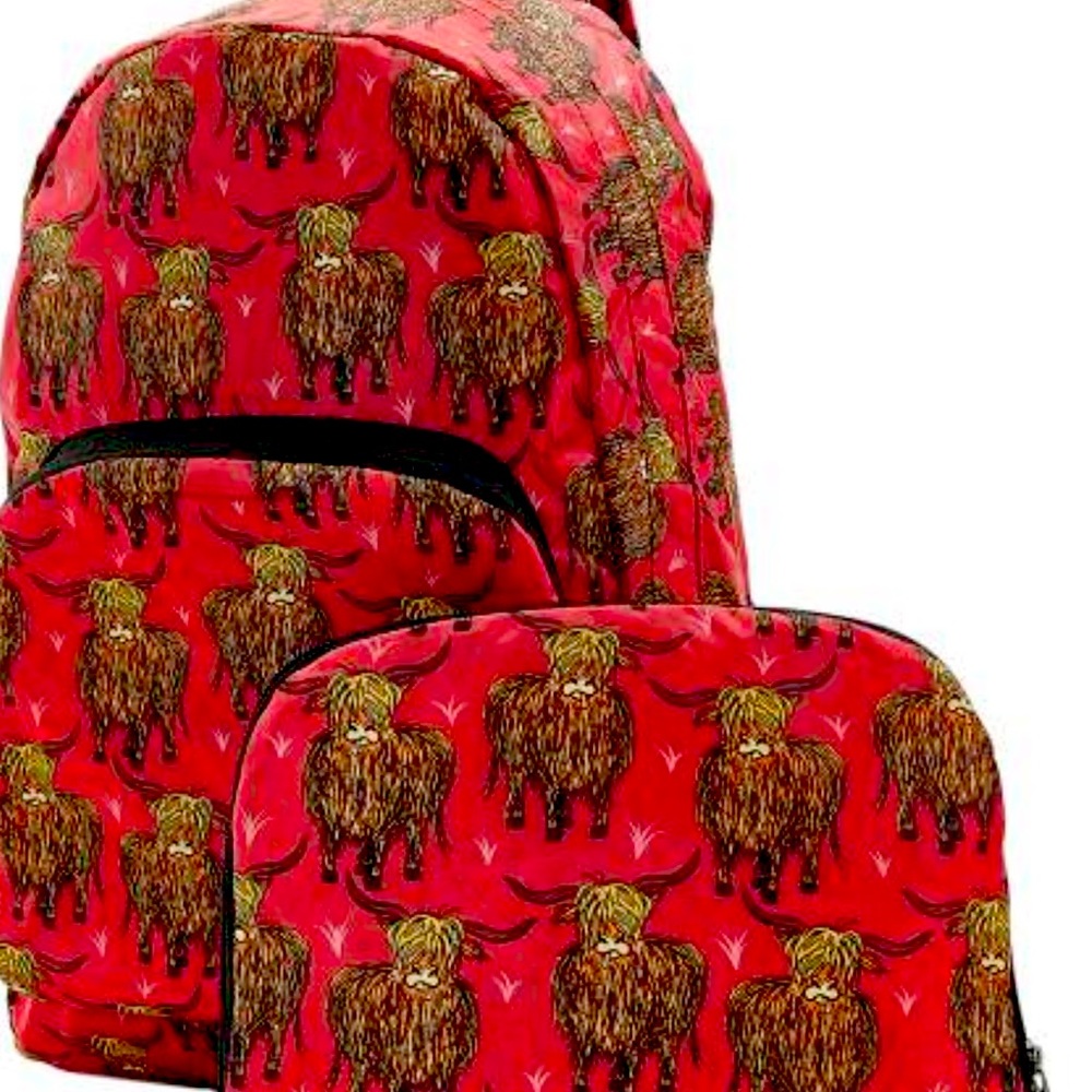Eco Chic Recycled Foldable Backpack